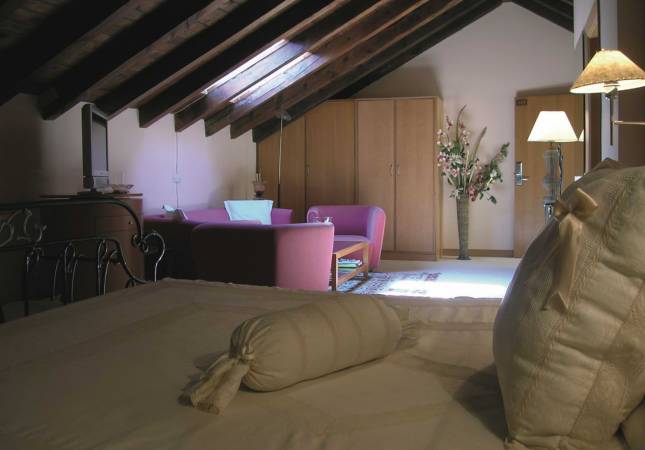 Precio mínimo garantizado para Hotel Ribera del Duero. Disfrúta con nuestro Spa y Masaje en Valladolid